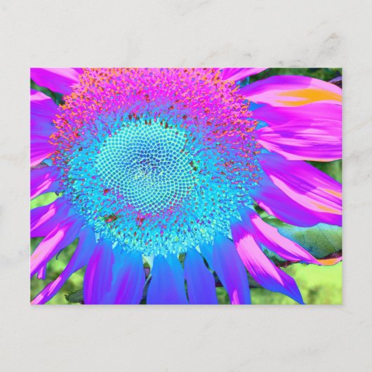Elegant Blauw roze paarse retro zonnebloem Briefkaart (Voorkant)