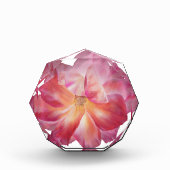 Elegant Bloemen Roos Blossom Fotoblok (Voorkant)