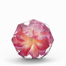 Elegant Bloemen Roos Blossom Fotoblok