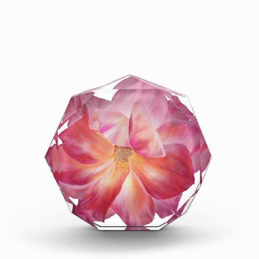 Elegant Bloemen Roos Blossom Fotoblok (Voorkant)