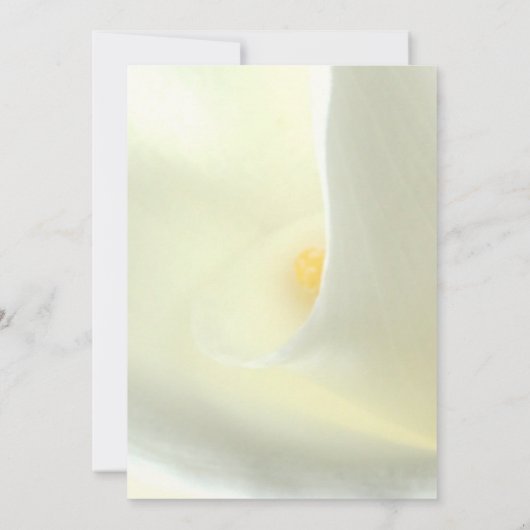 Elegant Bloemen Wit Calla Lily Save the Date Kaart (Achterkant)