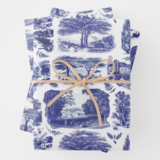 Elegant  Blue Country Pastoral Toile Inpakpapier Vel (In situ)