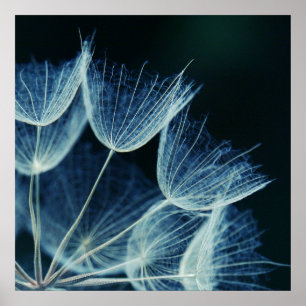 Elegant Blue Dandalion Botanische Macro Abstract Poster