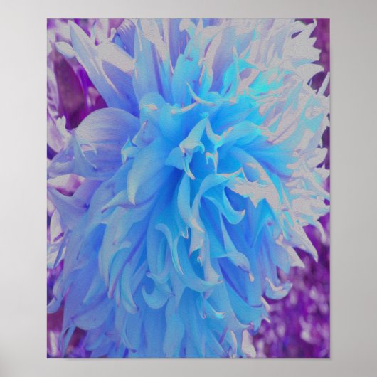 Elegant Blue Decorative Dahlia Flower Poster (Voorkant)