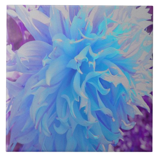 Elegant Blue Decorative Dahlia Flower Tegeltje (Voorkant)