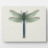 Elegant Blue Dragonfly Fotoplaat (Voorkant)