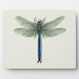 Elegant Blue Dragonfly Fotoplaat
