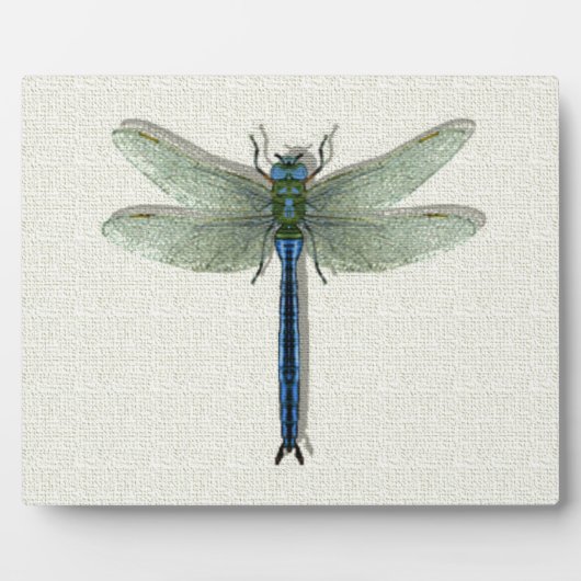 Elegant Blue Dragonfly Fotoplaat (Voorkant)