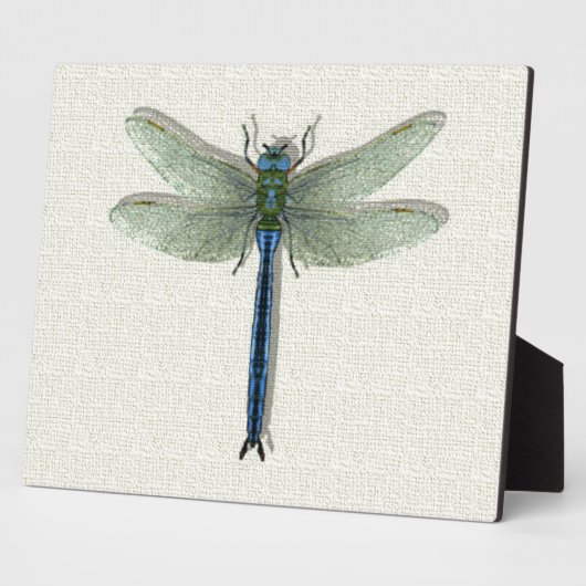 Elegant Blue Dragonfly Fotoplaat (Zijkant)