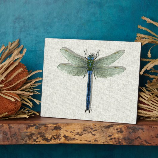 Elegant Blue Dragonfly Fotoplaat (Zijkant)