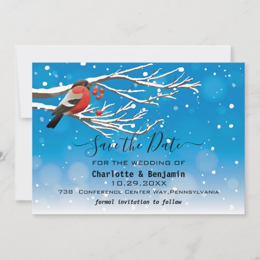 Elegant Blue en Red Bird Snow Save the Date (Voorkant)
