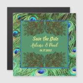 Elegant Blue Green Peacock Feather Kaart (Voorkant / Achterkant)