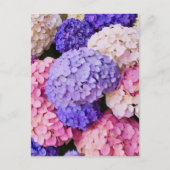Elegant Blue Hydrangea Floral afbeelding Briefkaart (Voorkant)