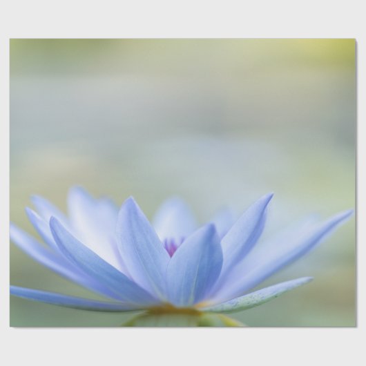 Elegant Blue Lotus Cadeaupapier (Vlak)