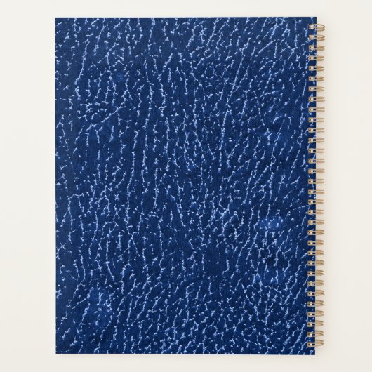 Elegant Blue Monogram Luxe Textuur Gold Lettering Planner (Achterkant)