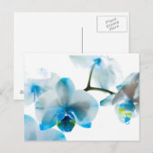 Elegant Blue Orchids Custom Briefkaart (Voorkant / Achterkant)