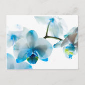 Elegant Blue Orchids Custom Briefkaart (Voorkant)