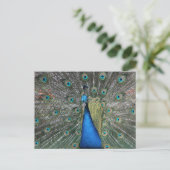 Elegant Blue Peacock Briefkaart (Staand voorkant)