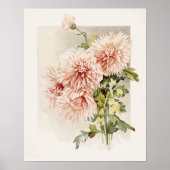 Elegant Blush Pink Chryanthema Poster (Voorkant)