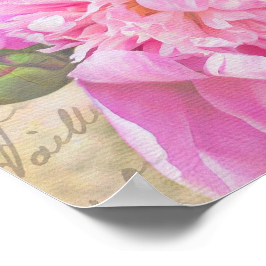 Elegant Blush Pink Peony Floral w/ Textures Script Poster (Hoek)