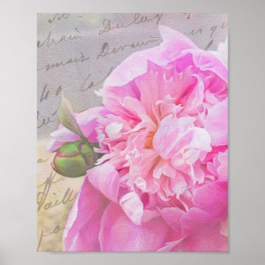 Elegant Blush Pink Peony Floral w/ Textures Script Poster (Voorkant)