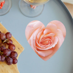 Elegant Blush Pink Rose Floral Kartonnen Onderzetters