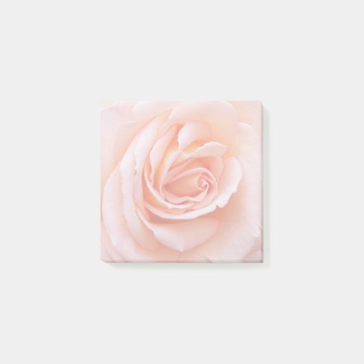 Elegant Blush Pink Rose Floral Post-it® Notes (Voorkant)