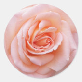 Elegant Blush Pink Rose Floral Ronde Sticker (Voorkant)