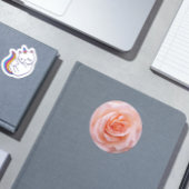 Elegant Blush Pink Rose Floral Ronde Sticker