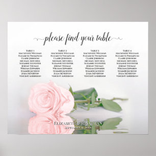 Elegant Blush Roze Roos 4 Tabel Zetel Poster