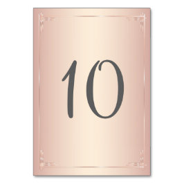 Elegant Blush Wedding Table Numbers Kaart