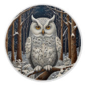 Elegant boho witte uil bos winterbos keramische knop (Voorkant)
