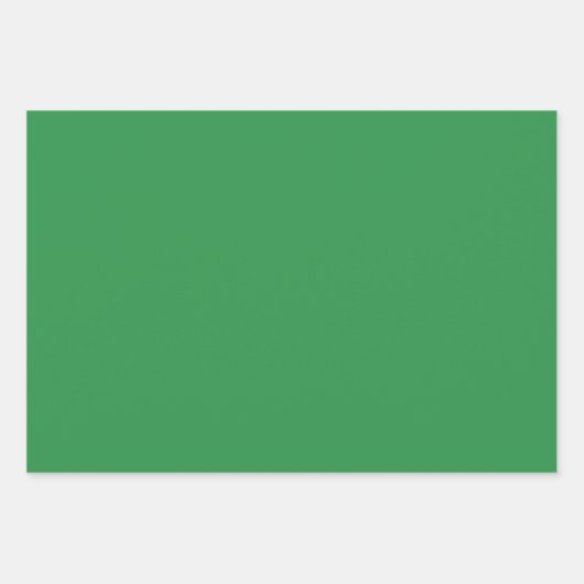 Elegant bos groen Minimalistisch en chique Inpakpapier Vel (Voorkant 2)