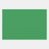 Elegant bos groen Minimalistisch en chique Inpakpapier Vel (Voorkant)