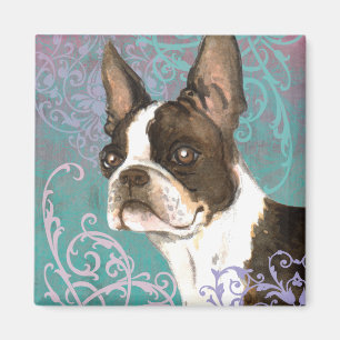 Elegant Boston Terrier Magneet