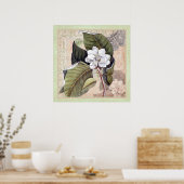 Elegant Botanical Southern Style Poster Magnolia (Keuken)