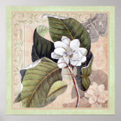 Elegant Botanical Southern Style Poster Magnolia (Voorkant)