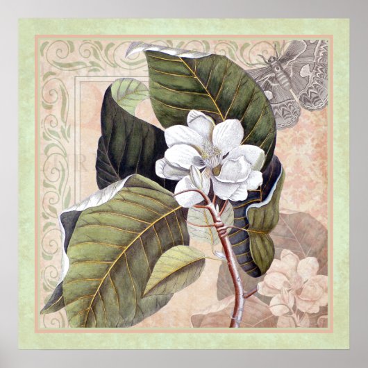 Elegant Botanical Southern Style Poster Magnolia (Voorkant)