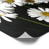 Elegant Botanical Still Life of Radiant White Oxey Poster (Hoek)