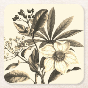 Elegant Botanisch Beige Kerst Roos Kartonnen Onderzetters