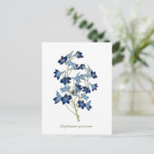 Elegant  Botanisch Blauw Bloemen Delphinium Briefkaart (Staand voorkant)