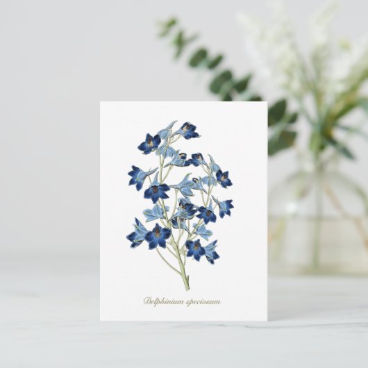 Elegant  Botanisch Blauw Bloemen Delphinium Briefkaart (Staand voorkant)