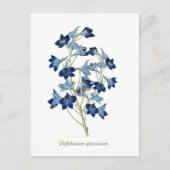 Elegant  Botanisch Blauw Bloemen Delphinium Briefkaart (Voorkant)