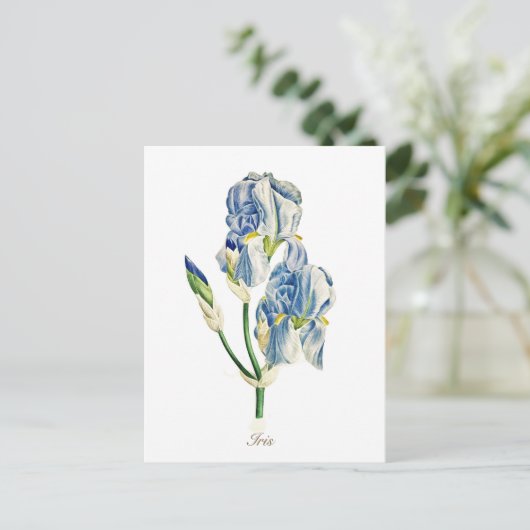 Elegant botanisch blauw Iris ventilator Briefkaart (Staand voorkant)