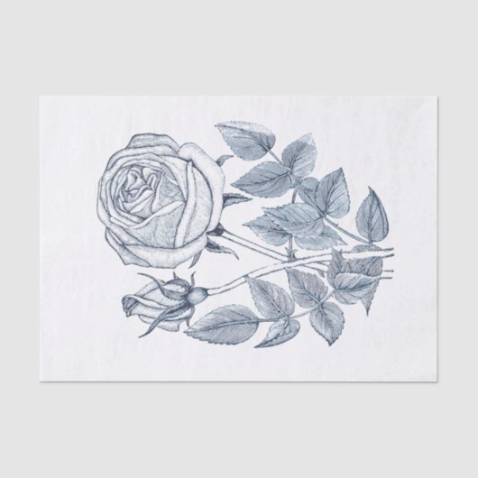 Elegant Botanisch Blauw Roos Tissuepapier (Voorkant)