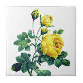 Elegant  Botanisch Geel Rose Tegeltje (Voorkant)