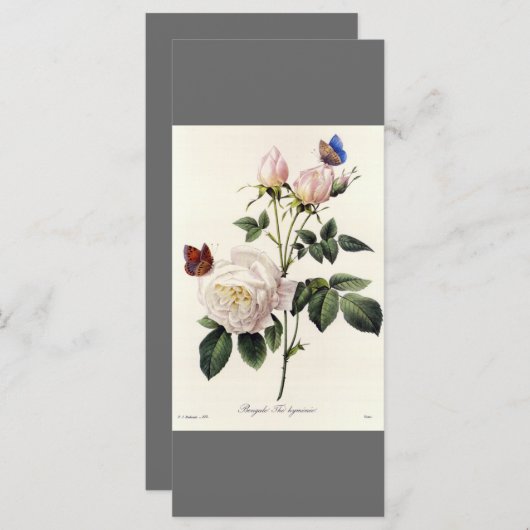 Elegant  botanisch kunstgrijs bladwijzer programmakaart (Voorkant / Achterkant)