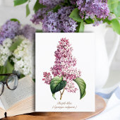 Elegant  Botanisch Paars Lila bloesem Kaart