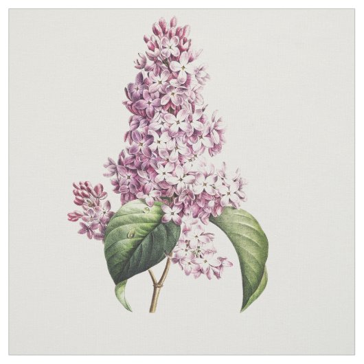 Elegant Botanisch Paars Lila bloesem Stof (Swatch)