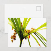 Elegant botanisch patroon briefkaart (Voorkant / Achterkant)
